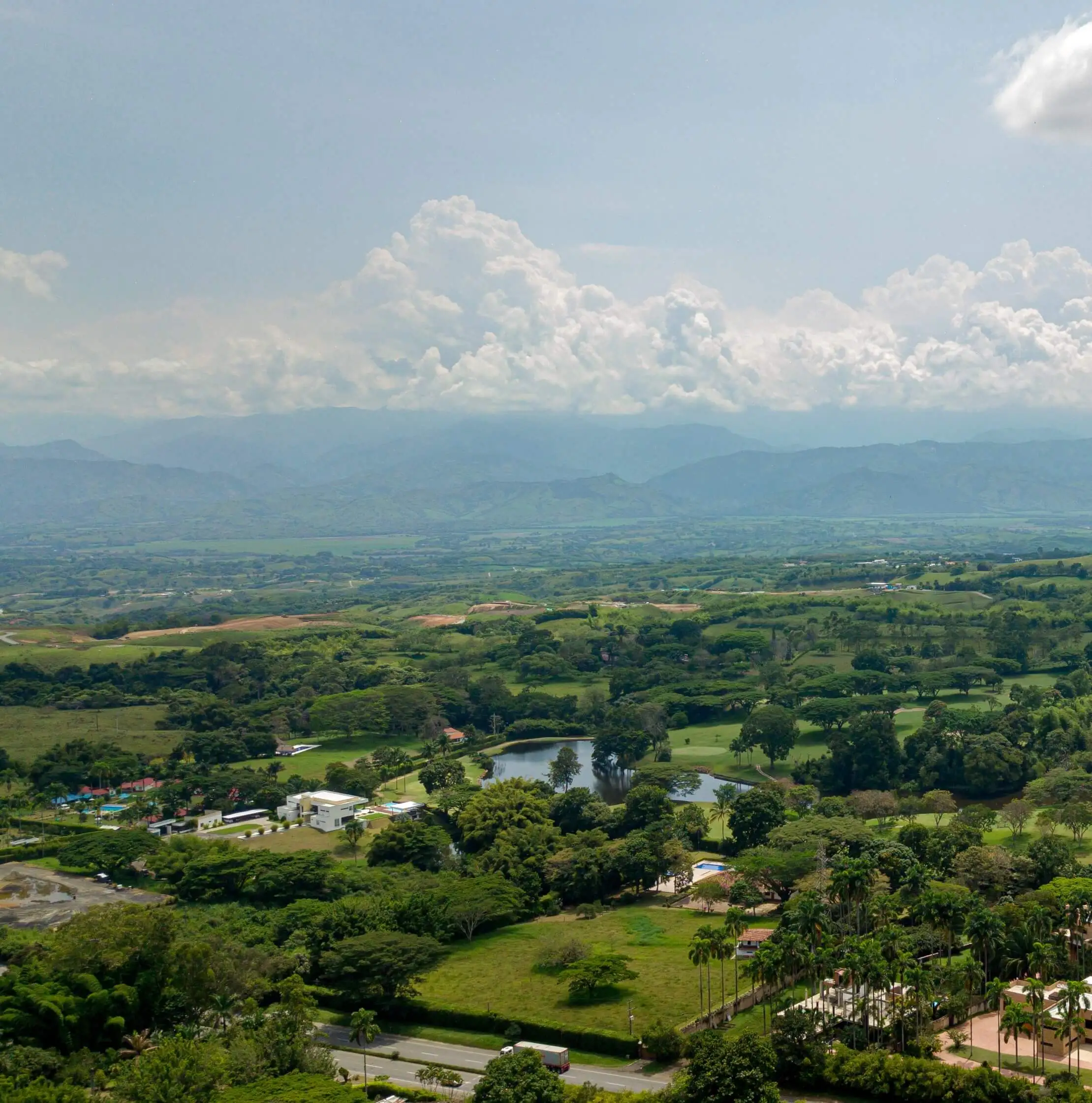 Cerritos Pereira