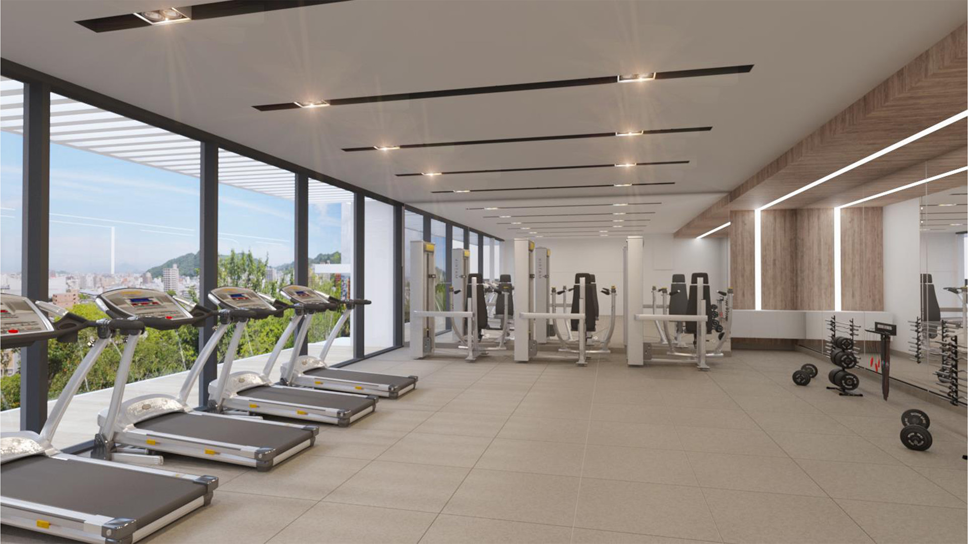 Gimnasio